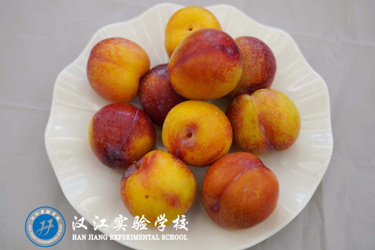 汉江实验学校2025年3月24日—3月29日学生食谱公示