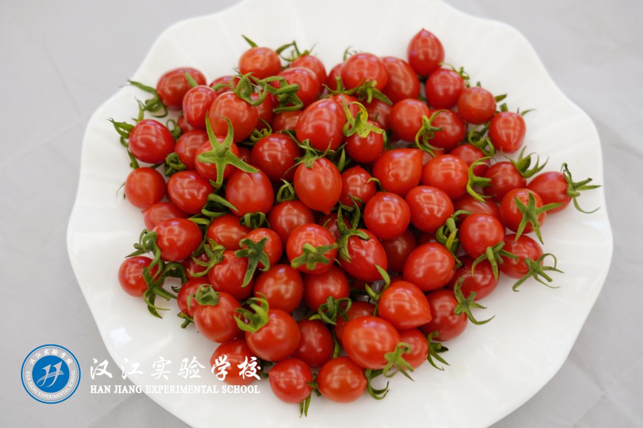 汉江实验学校2025年4月14日—4月19日学生食谱公示