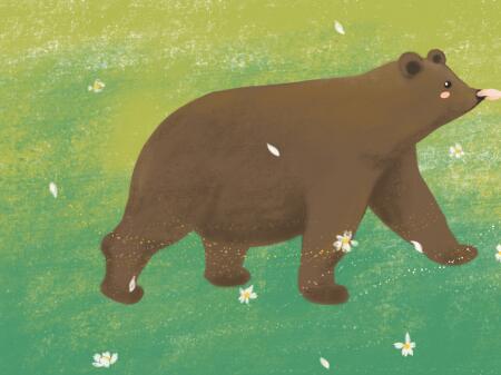 1585126245499364.jpg 小灰熊藏宝.jpg