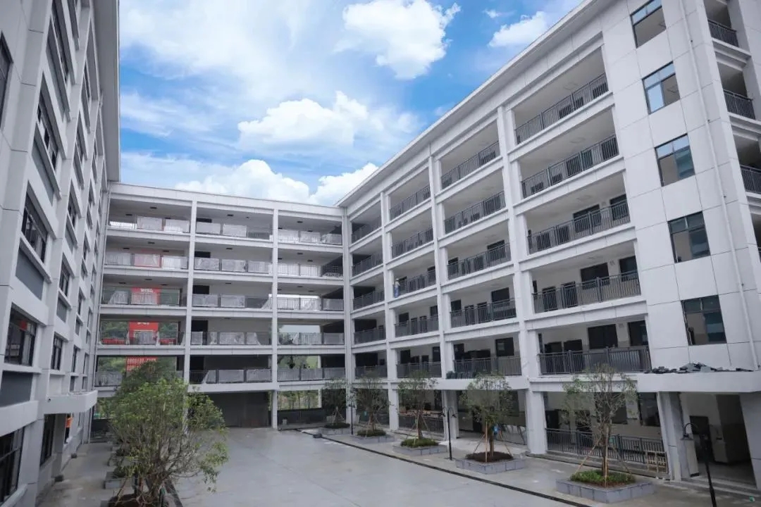 1597045267235421.jpg 3.jpg