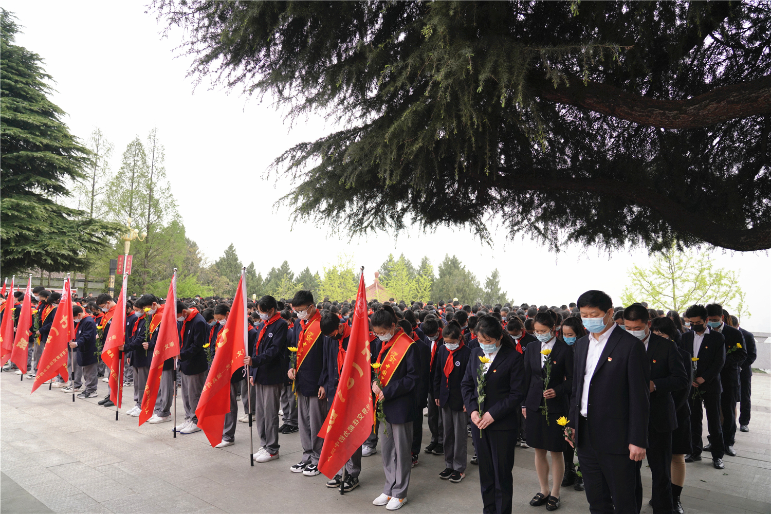 1617091450502869.jpg 7.jpg